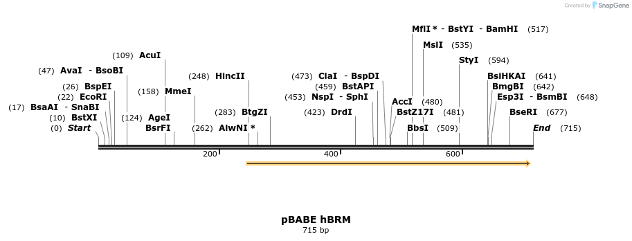 90086_map