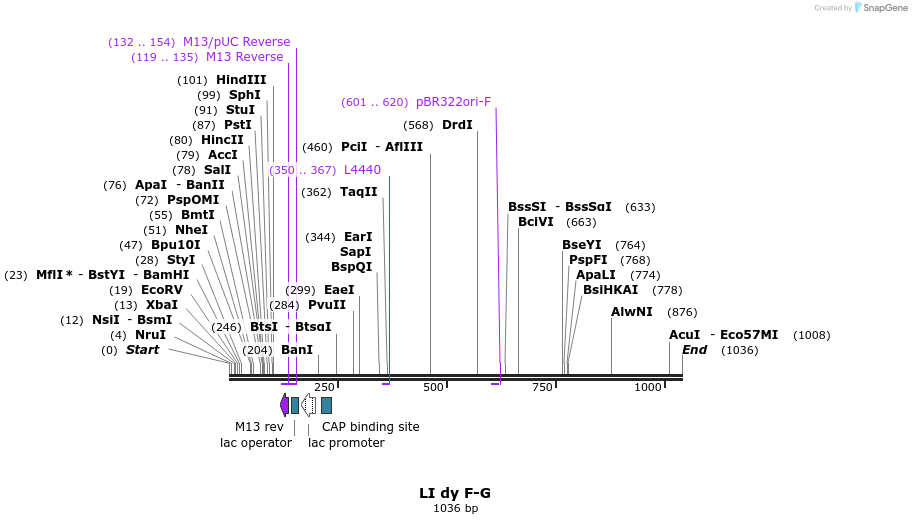90097_map