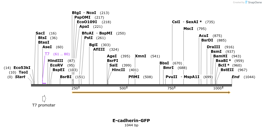 90100_map