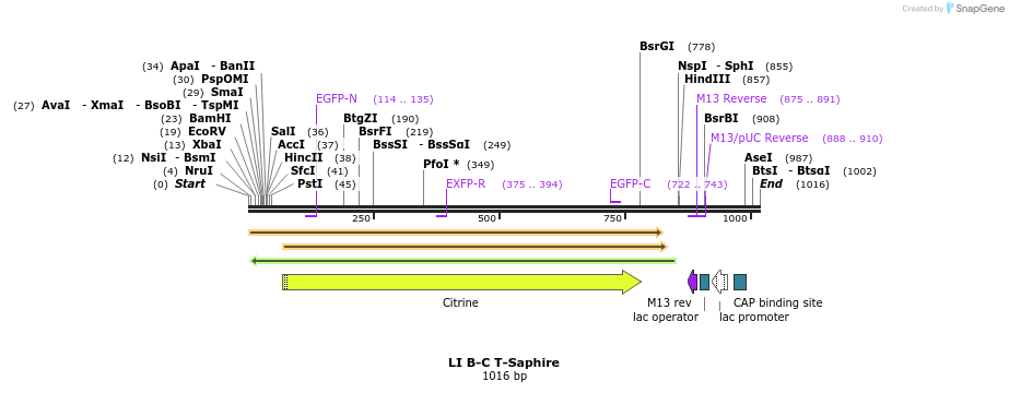 90102_map