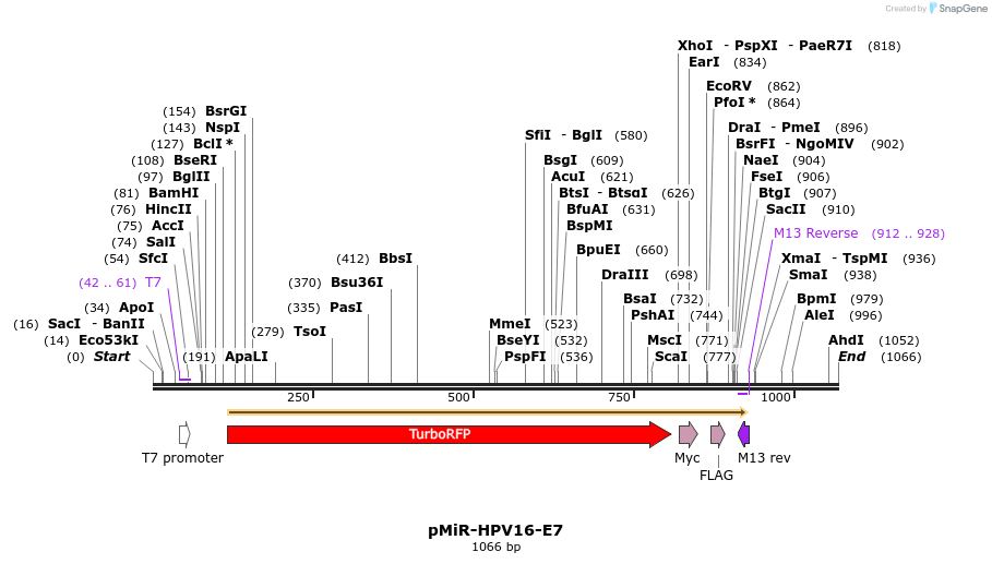 90116_map