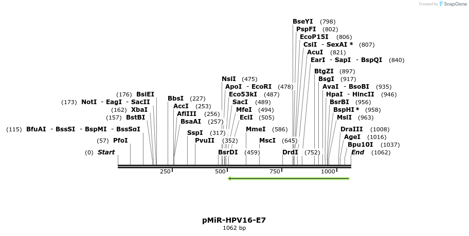90117_map