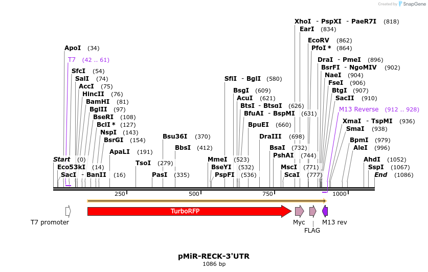 90118_map