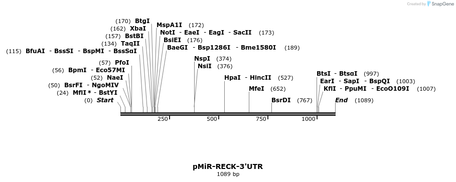 90119_map