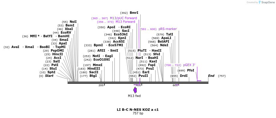 90131_map