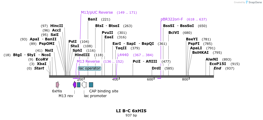90132_map