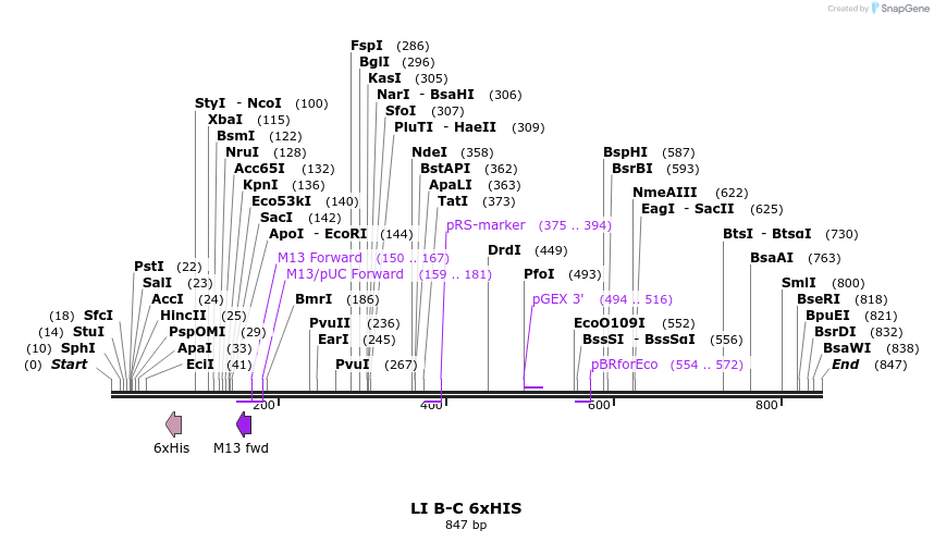 90133_map