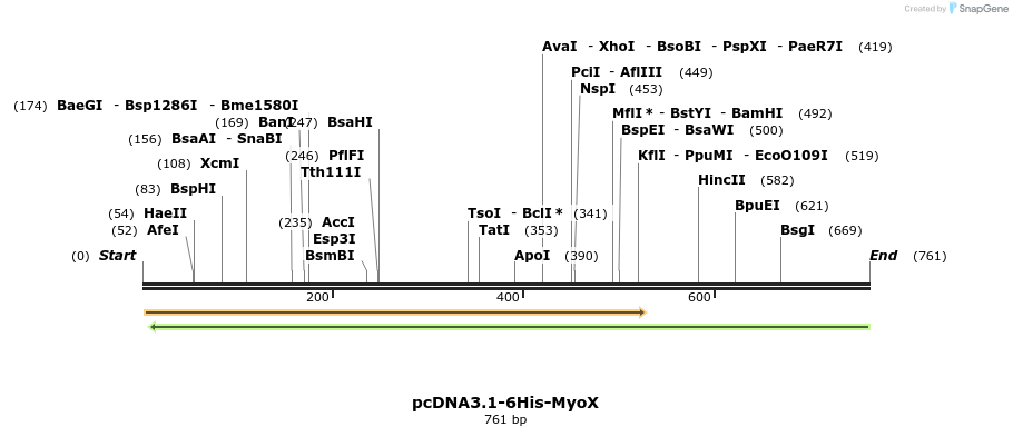 90134_map