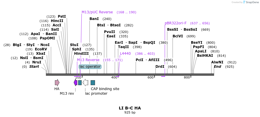 90137_map