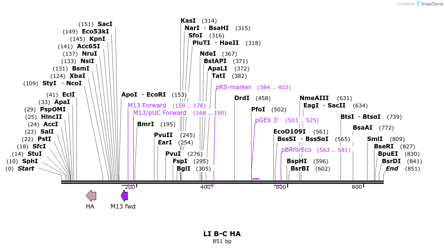90138_map