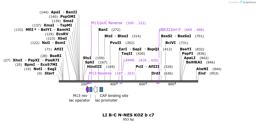 90139_map
