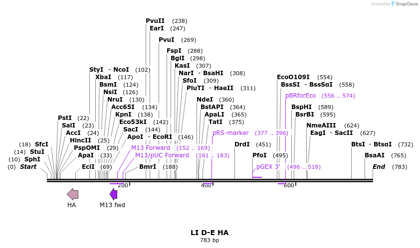 90142_map