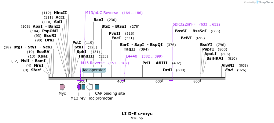 90145_map
