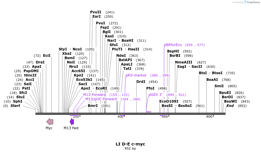 90146_map