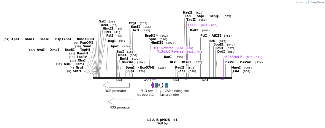 90151_map