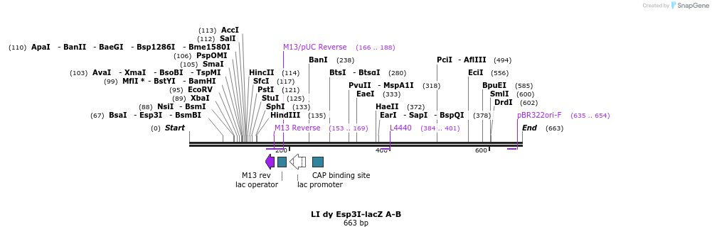 90153_map