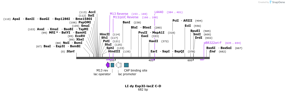 90158_map
