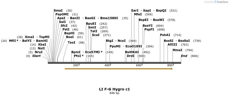 90163_map