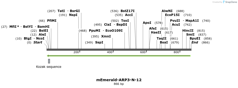 90166_map