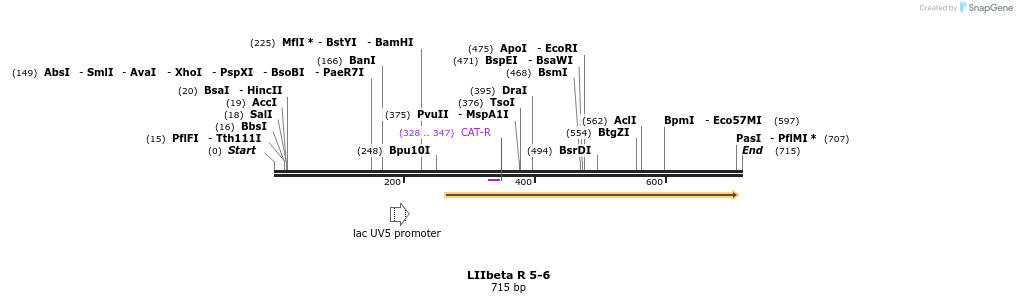 90171_map