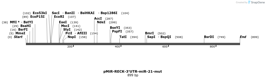 90172_map