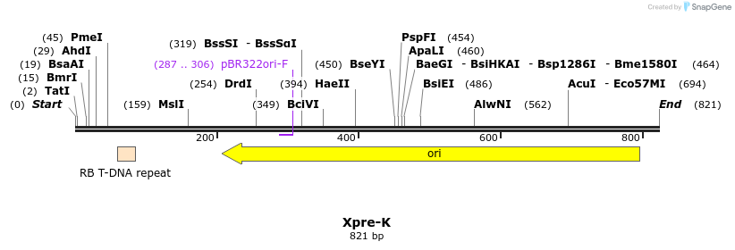 90177_map