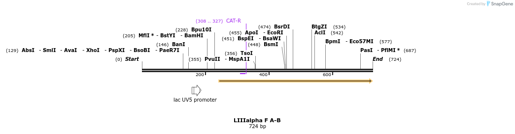 90179_map