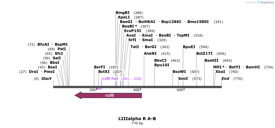90181_map