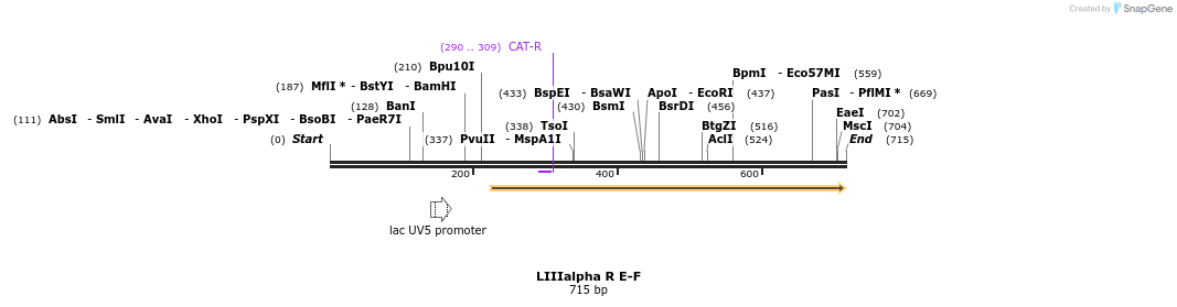 90182_map