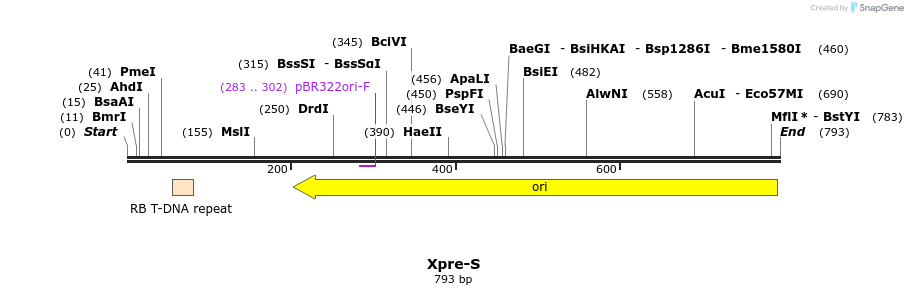 90183_map