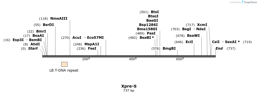 90184_map