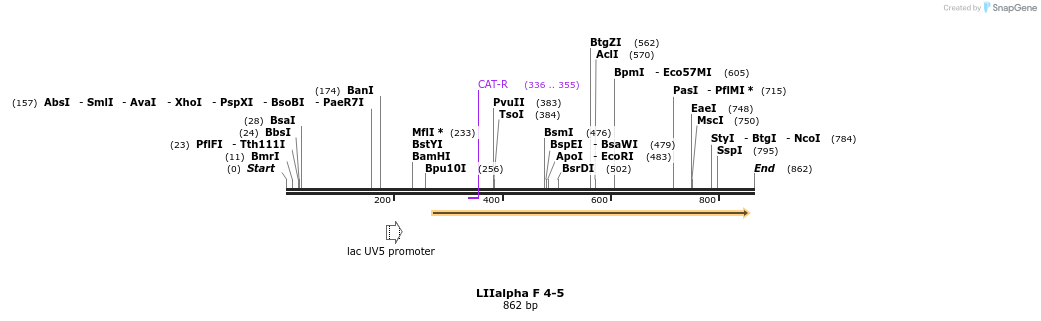 90187_map
