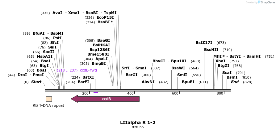 90191_map