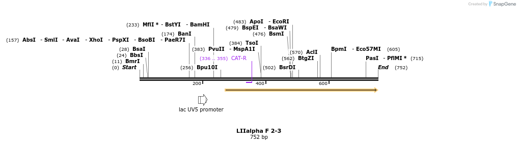 90193_map
