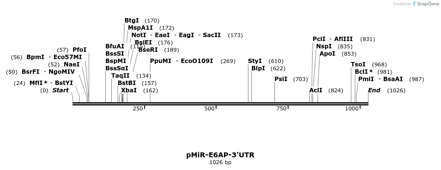 90217_map