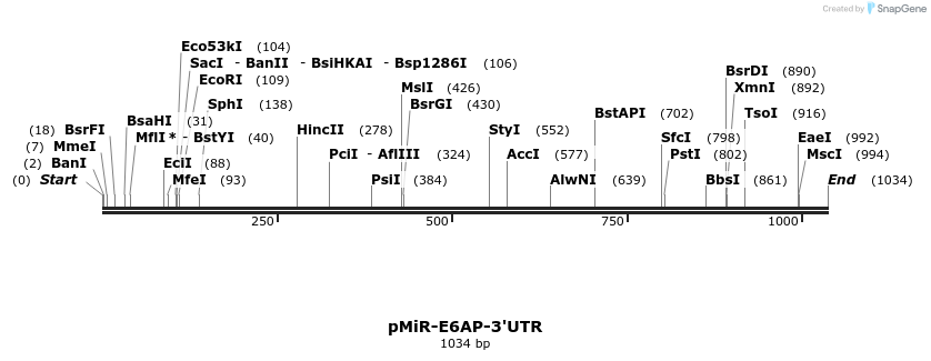 90220_map