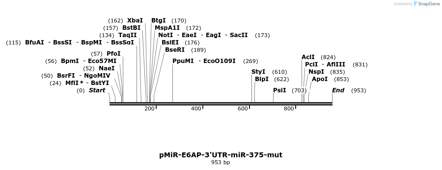 90225_map