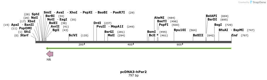 90226_map