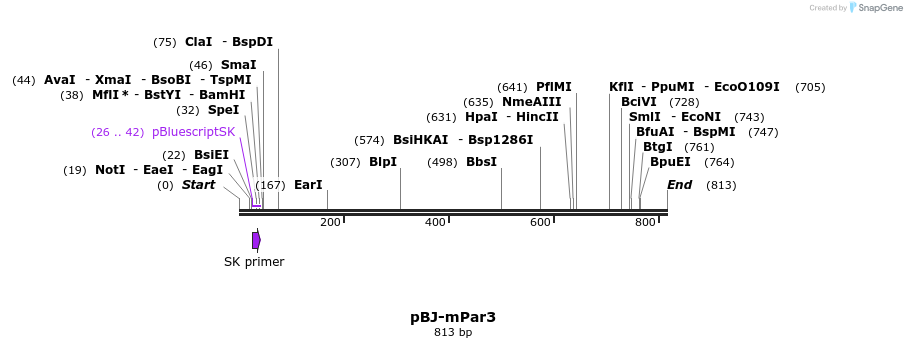 90227_map