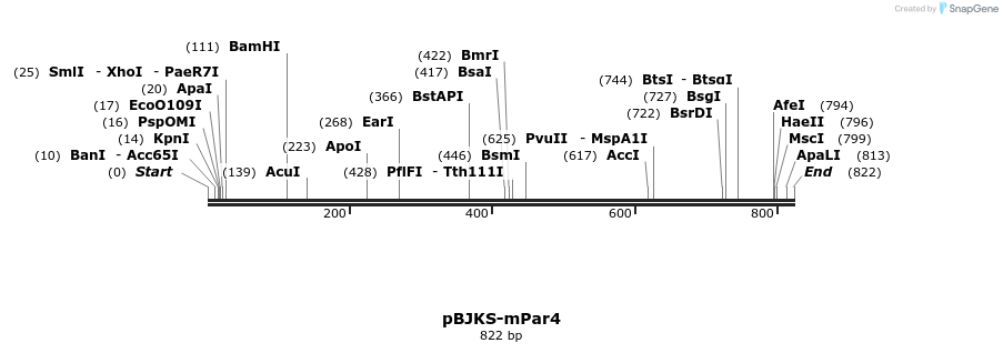 90229_map