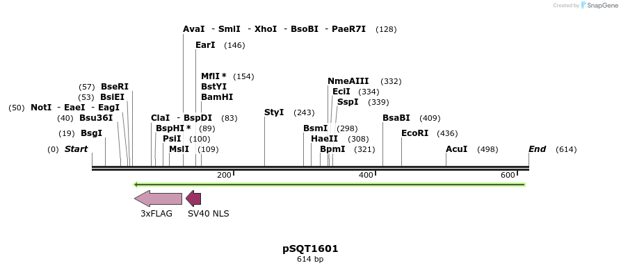 90231_map