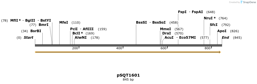90233_map