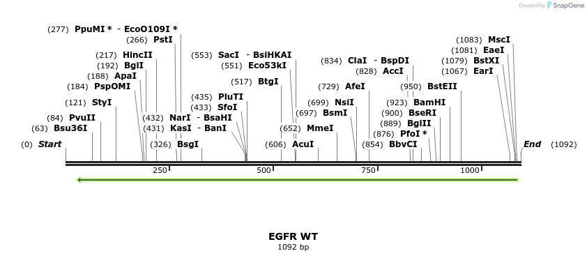 90234_map
