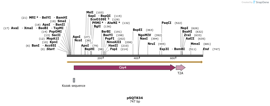 90235_map