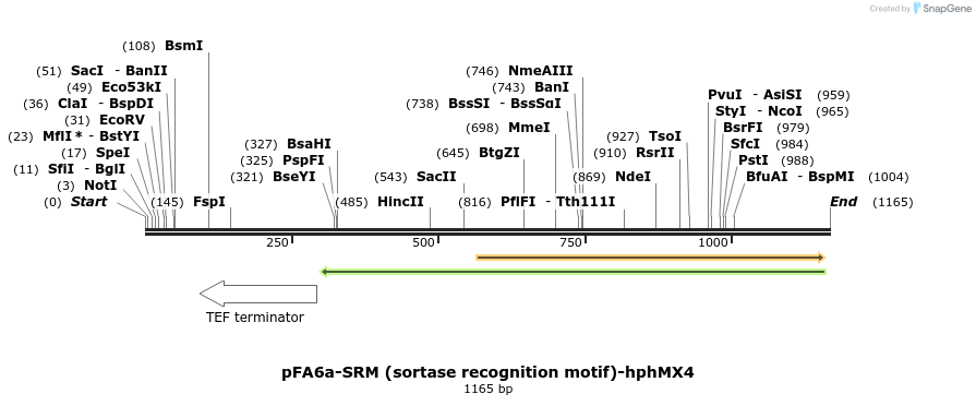 90237_map