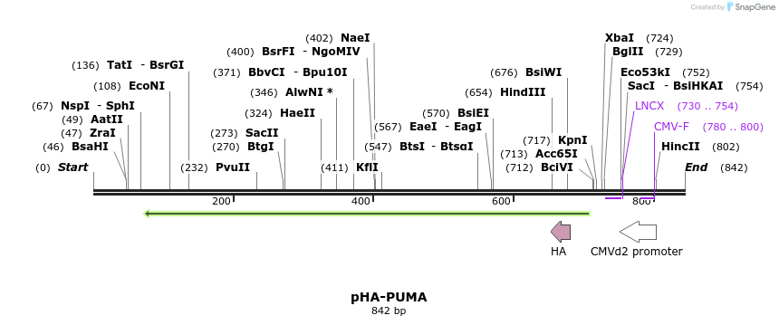 90240_map