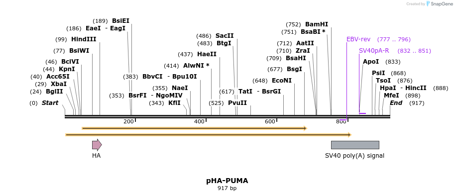 90241_map