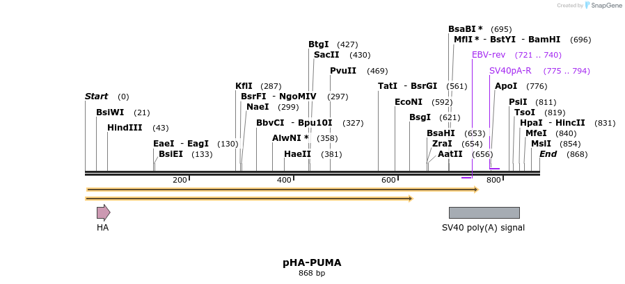90242_map