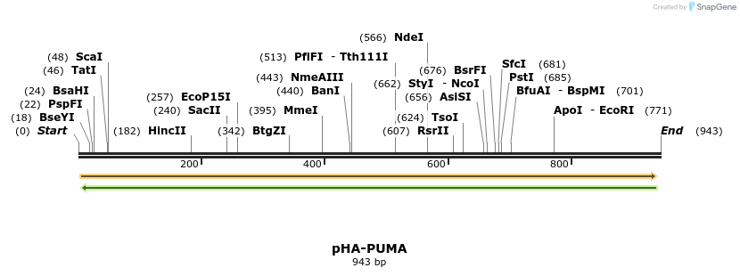 90243_map