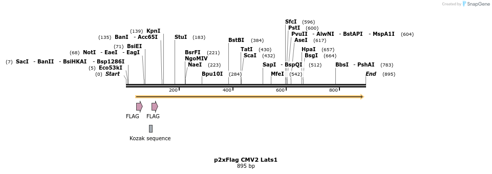 90244_map
